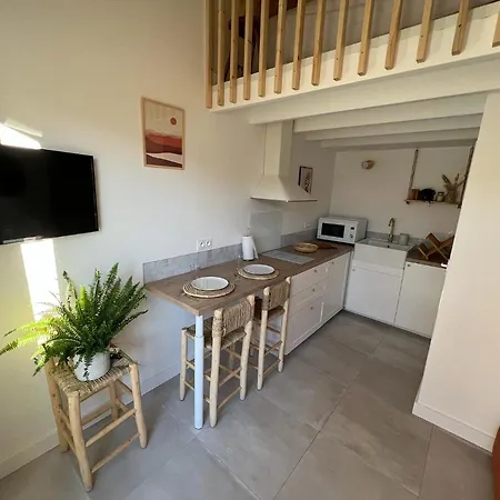 Les Embruns, Ocean Et Centre A Pied Feriehus *